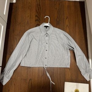 Rag & Bone Blue Stripped Cropped Shirt